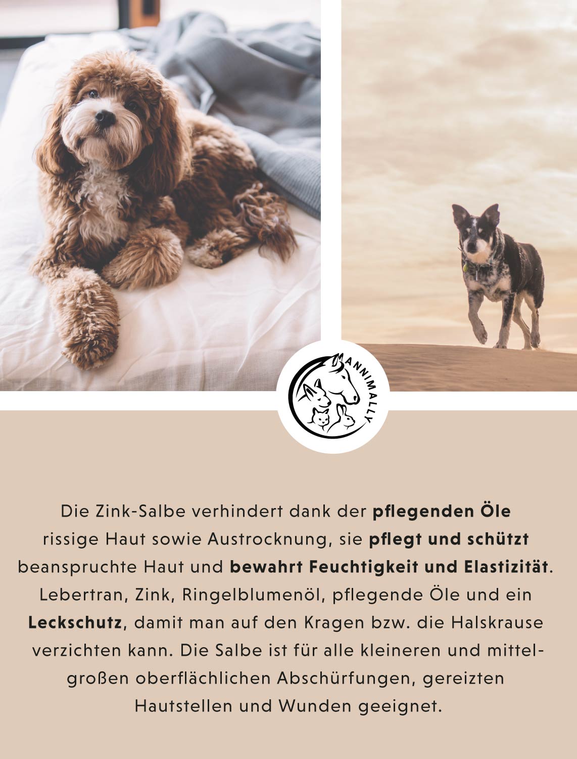 Pflegeset für Hunde, Katzen & Pferde: Care-Box für Ohren, Augen & Fell