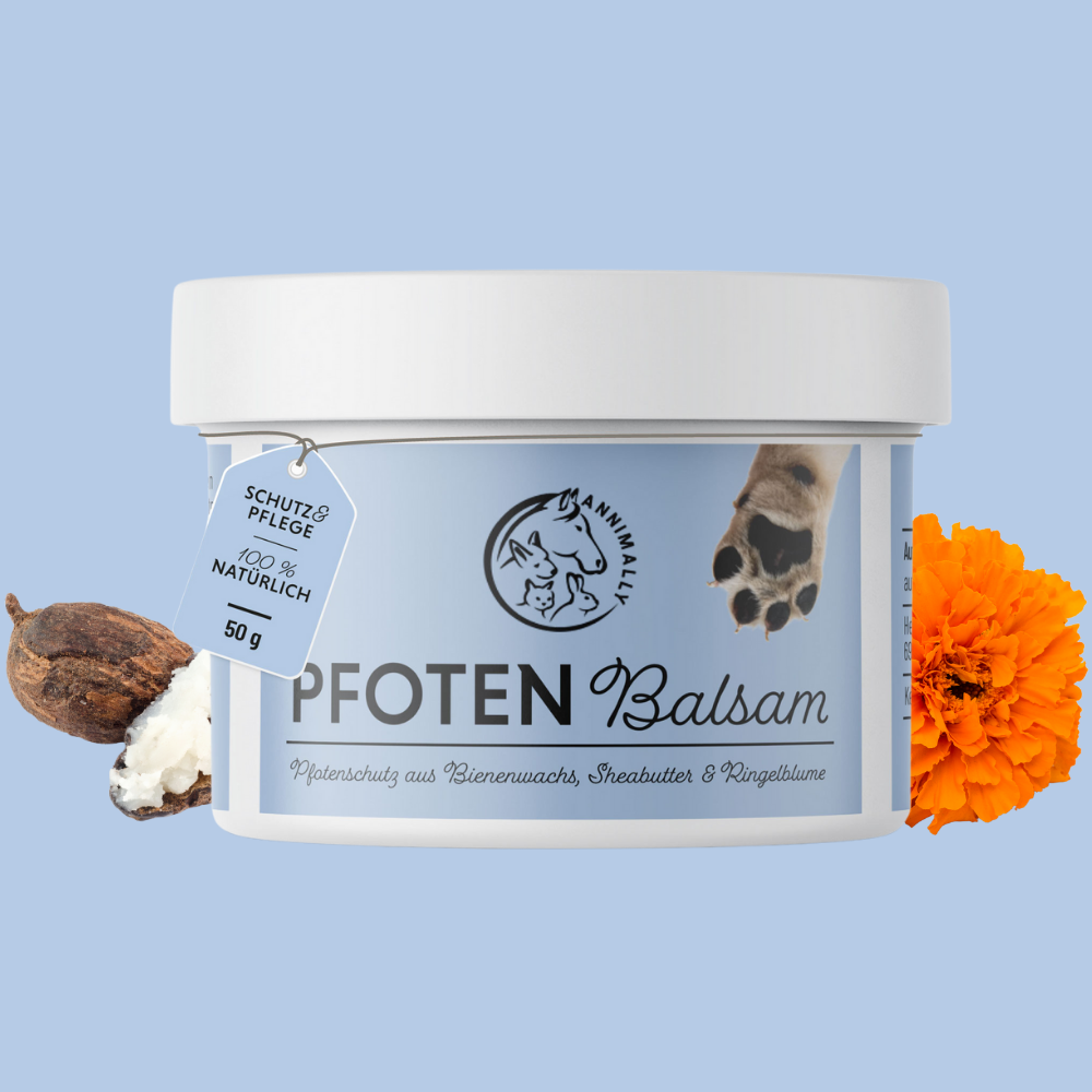 Pfotenbalsam für Hunde & Katzen – Pflegeprodukt | Annimally