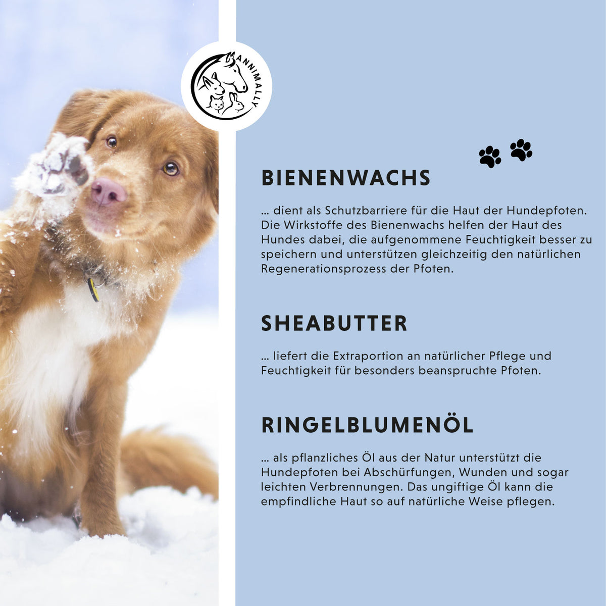 Pfotenbalsam – Pflegeprodukt für Hunde & Katzen