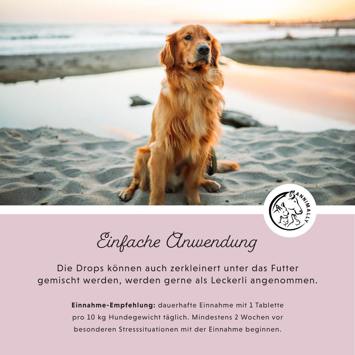 Relax-Box für Hunde zur natürlichen Beruhigung – Vorteilsbox mit Futterergänzungen von Annimally