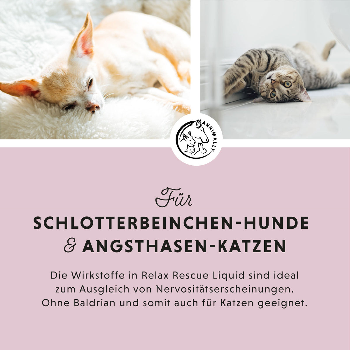 Relax Flüssig zur natürlichen Beruhigung – Futterzusatz für Hunde & Katzen