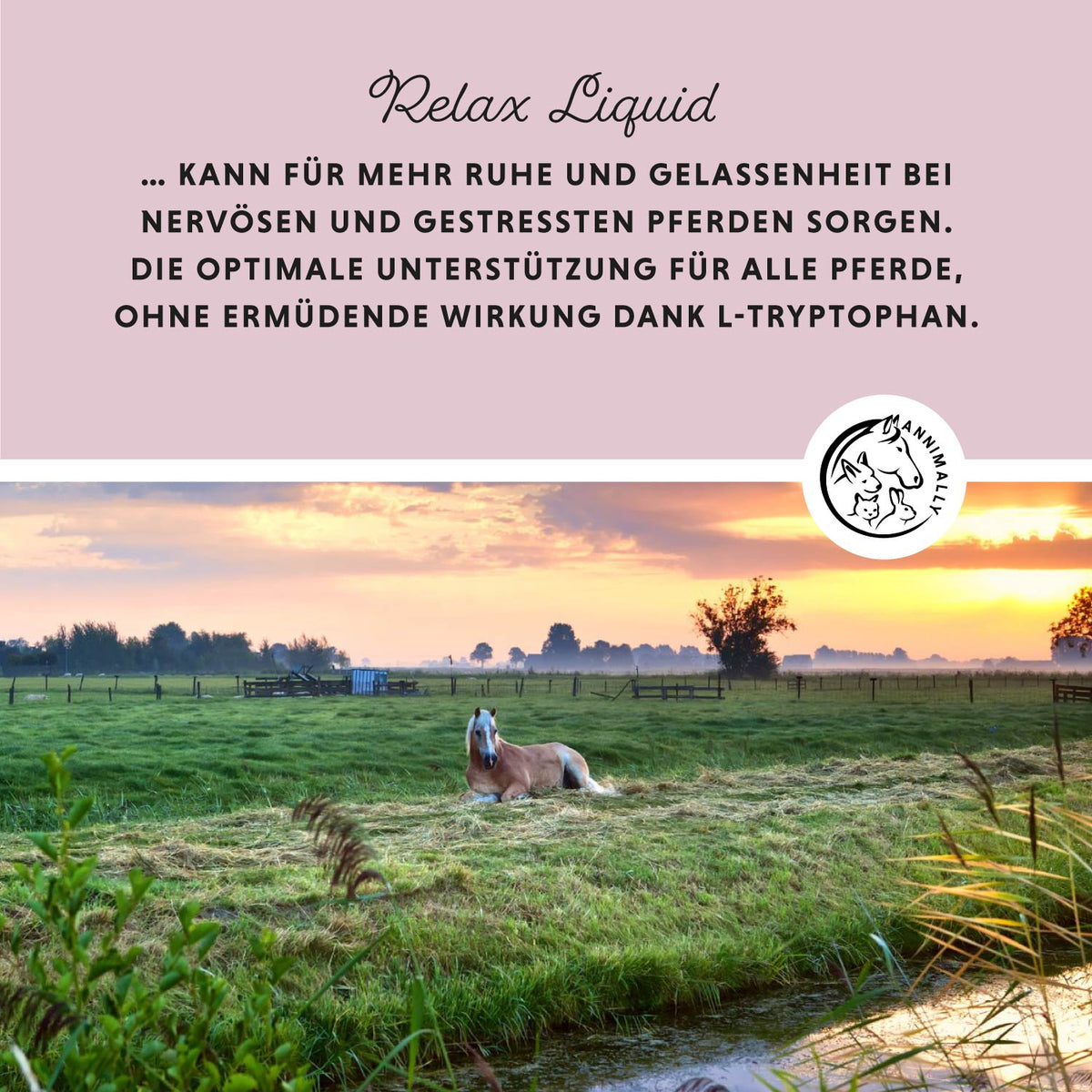 Relax Liquid zur natürlichen Beruhigung – Futterzusatz für Pferde