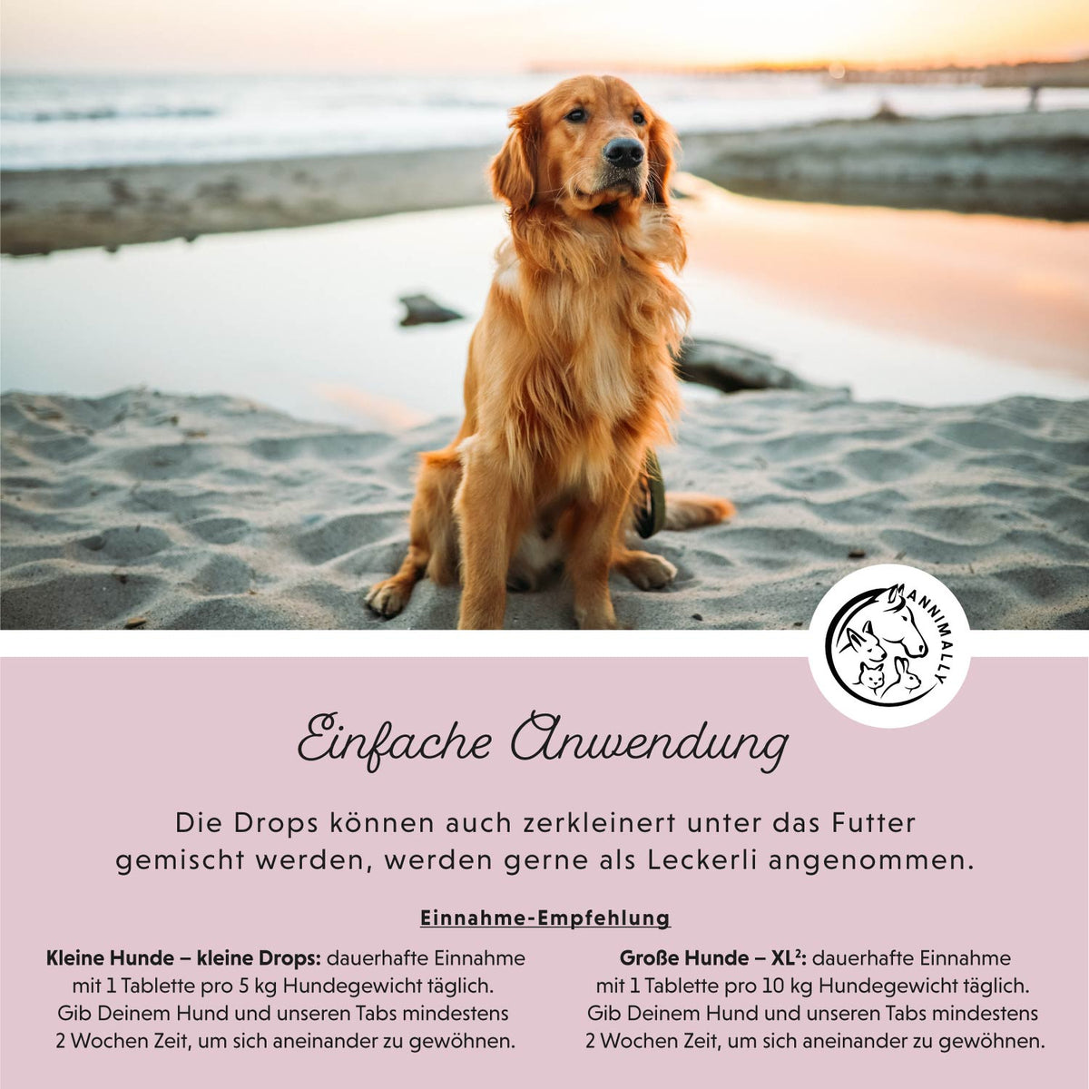 Relax Tabletten für Hunde – Futterergänzung zur natürlichen Beruhigung | Annimally