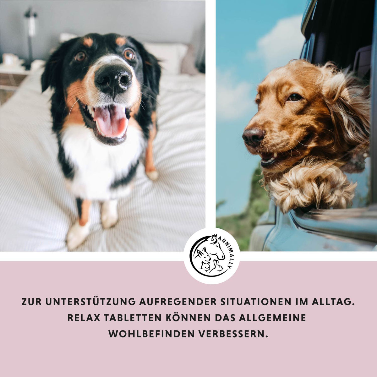 Relax Tabletten von Annimally zur natürlichen Beruhigung – Nahrungsergänzungsmittel für Hunde