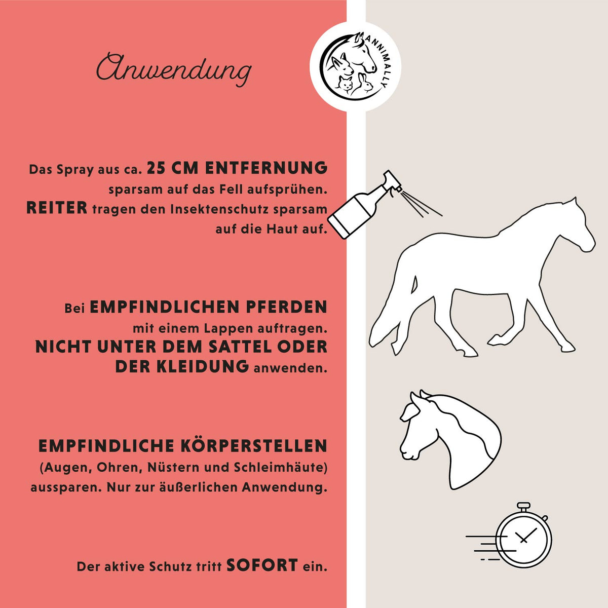 Sommer-Box von Annimally – Box mit Futtertoppings für Pferde – Anwendung