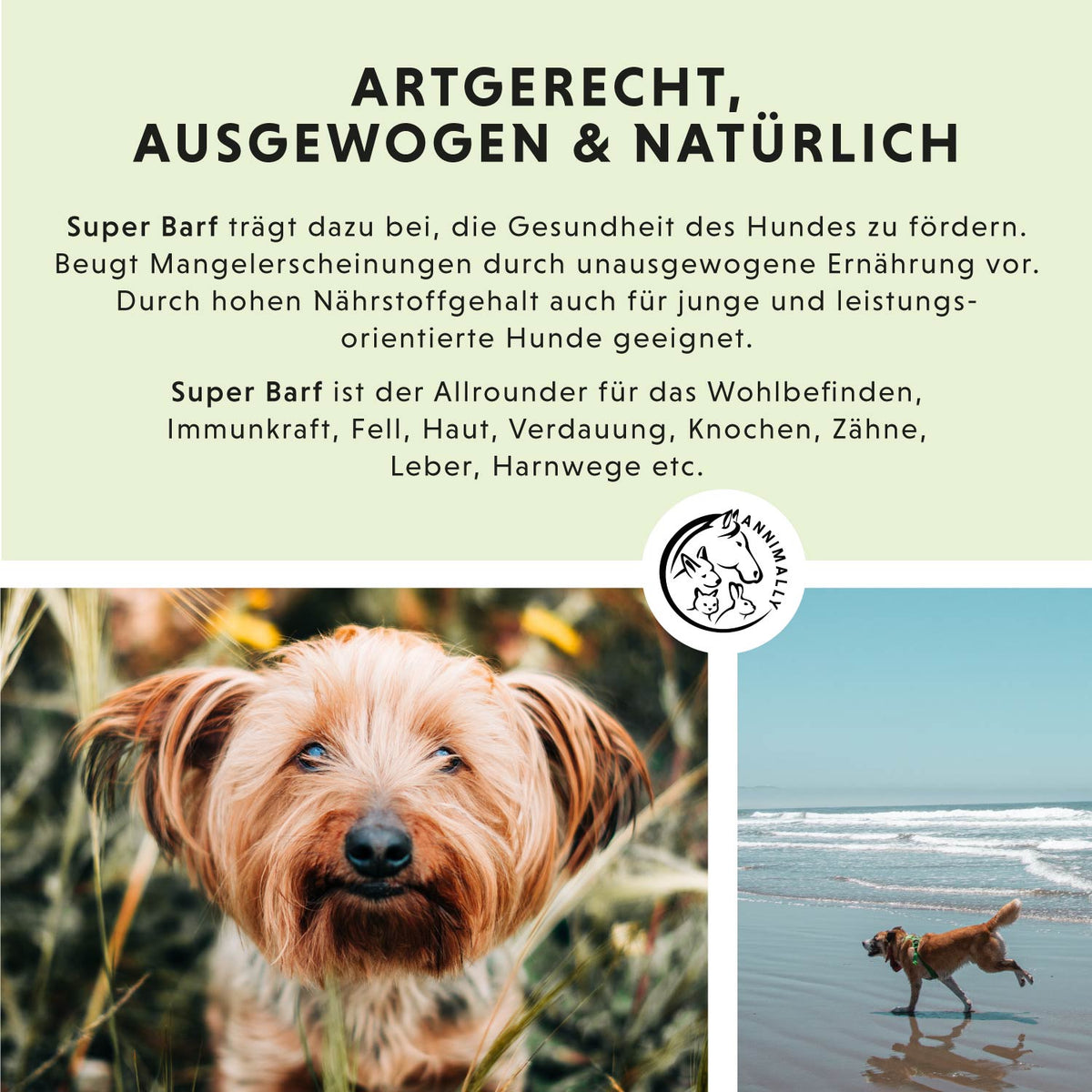 Super Barf von Annimally mit Vitaminen & Mineralien zum Barfen – Futtertopping für Hunde