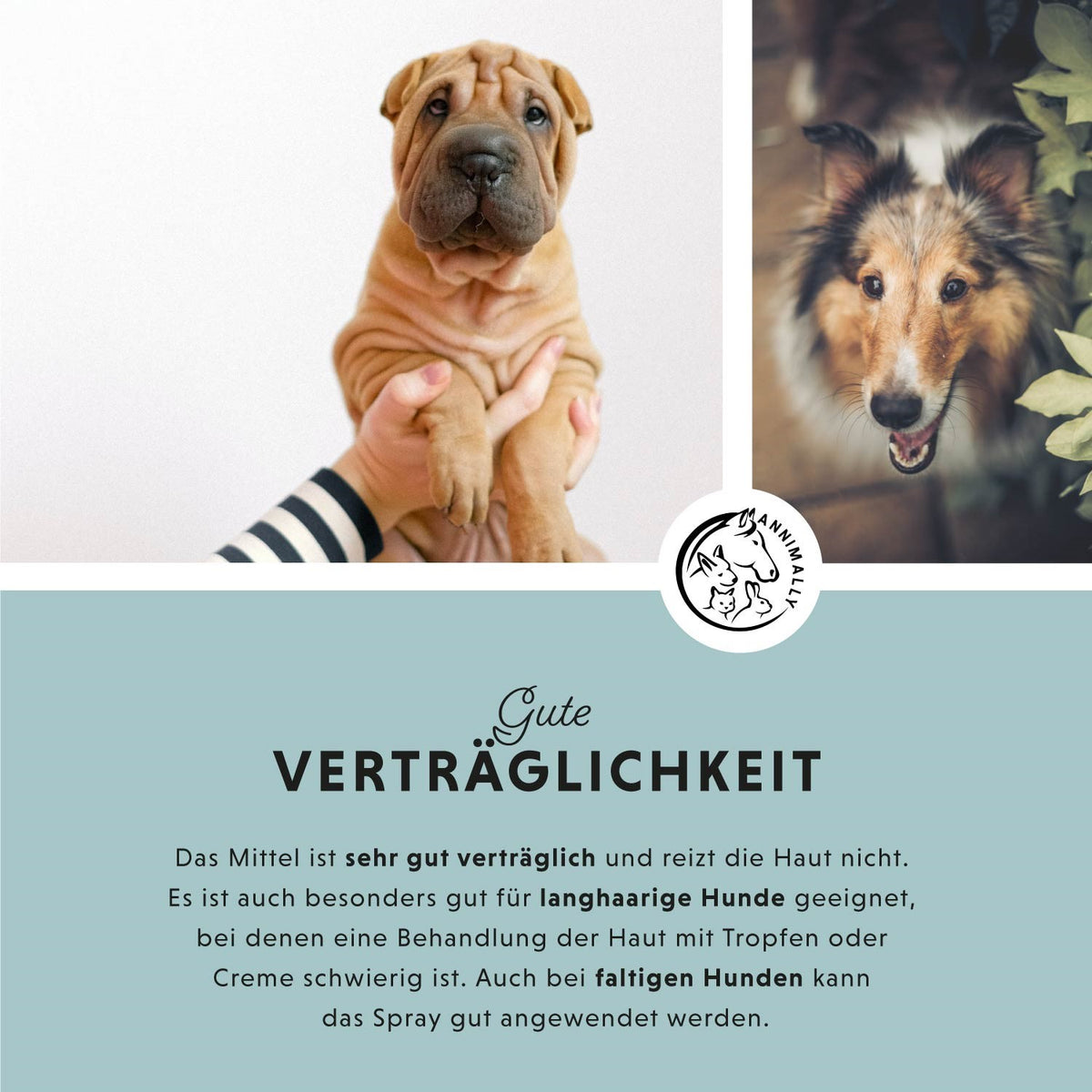 Tierpflege für Hunde, Katzen, Pferde & Kleintiere: Skin Care Pro für gesunde Haut
