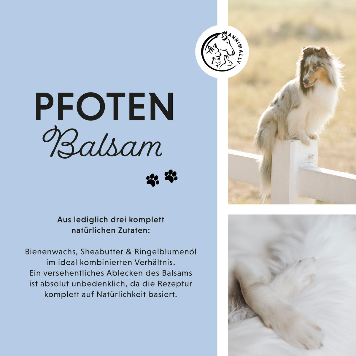 Tierpflege für Hunde & Katzen: Pfotenbalsam