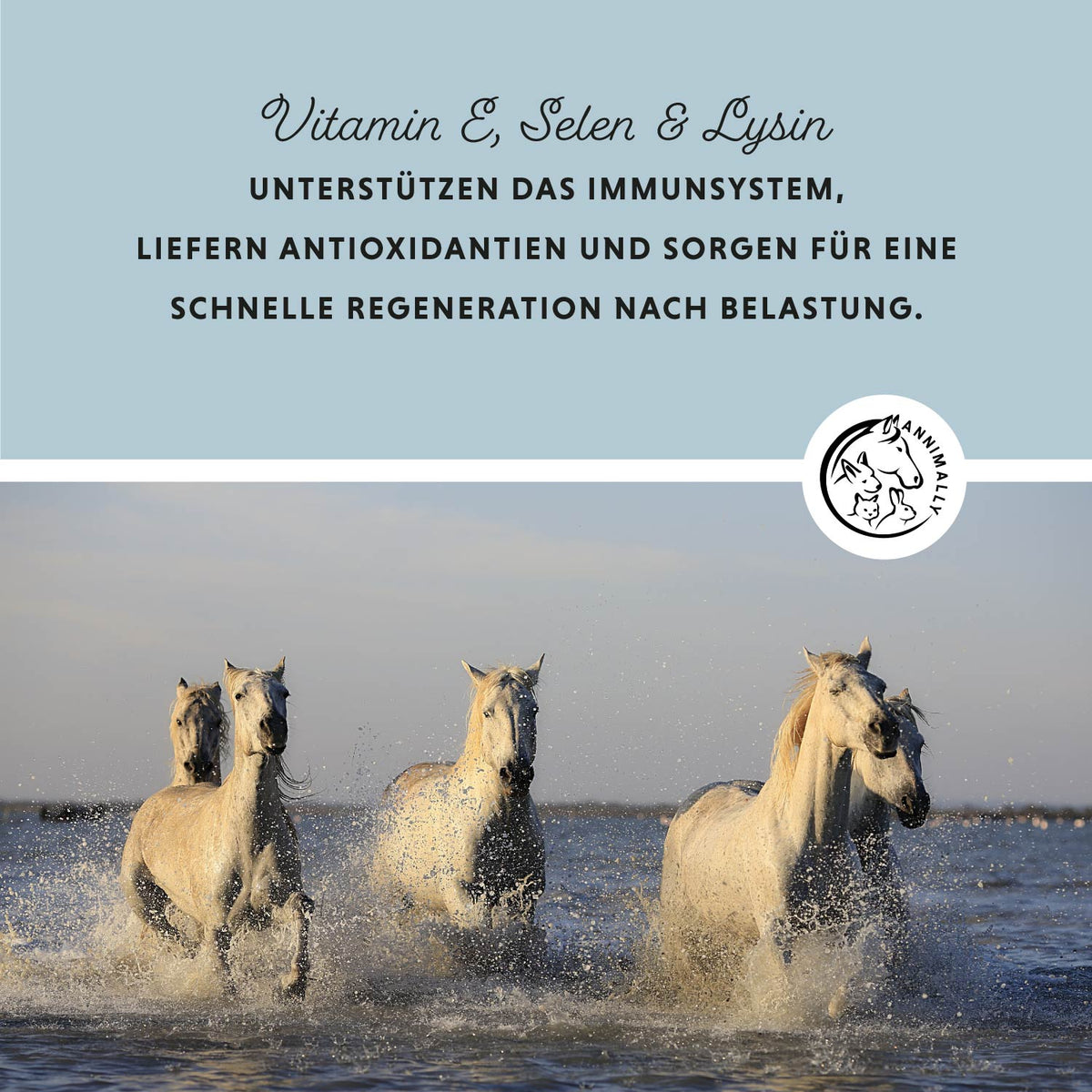Vitamin E / Selen & Lysin für Muskulatur & Immunsystem – Futterzusatz für Pferde