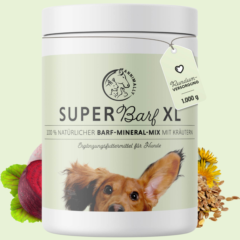 Vorteilsbox mit Futterergänzungen für Hunde & Katzen: Barf-Box XL