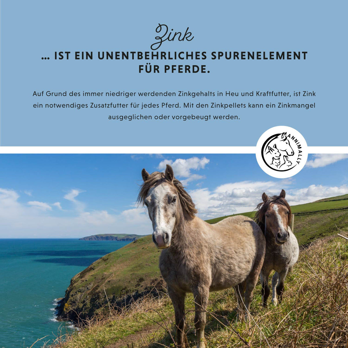 Zink Pellets für Haut, Fell & Hufe – Futterzusatz für Pferde